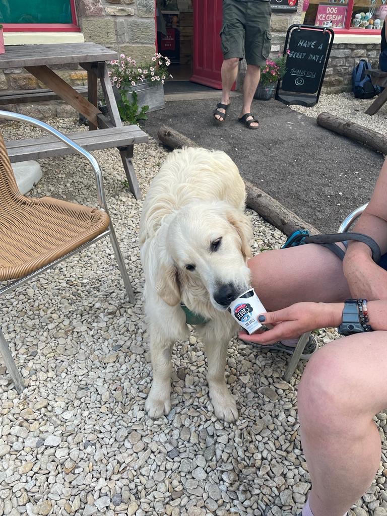Hot day today ... refreshments needed for all family members 😀🐾#cafe #coffee #cake #icecream #dogs #dogfriendly #cyclist #walker #tintern @visitmonmouthshire <a href="/visitdeanwye/">Visit the Forest of Dean & Wye Valley</a> @wyevalleygreenway @wyebeauty
