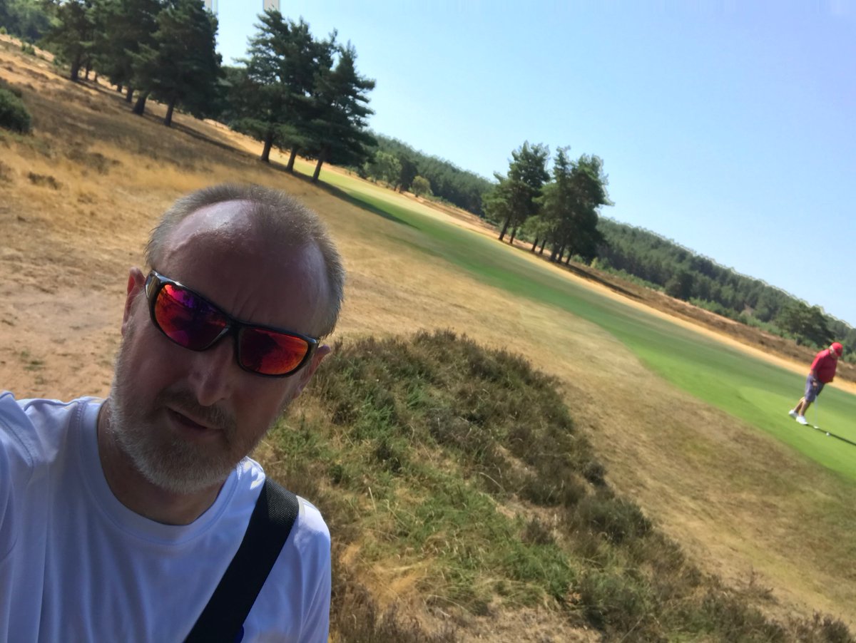 Ibeatthesweep tweet media