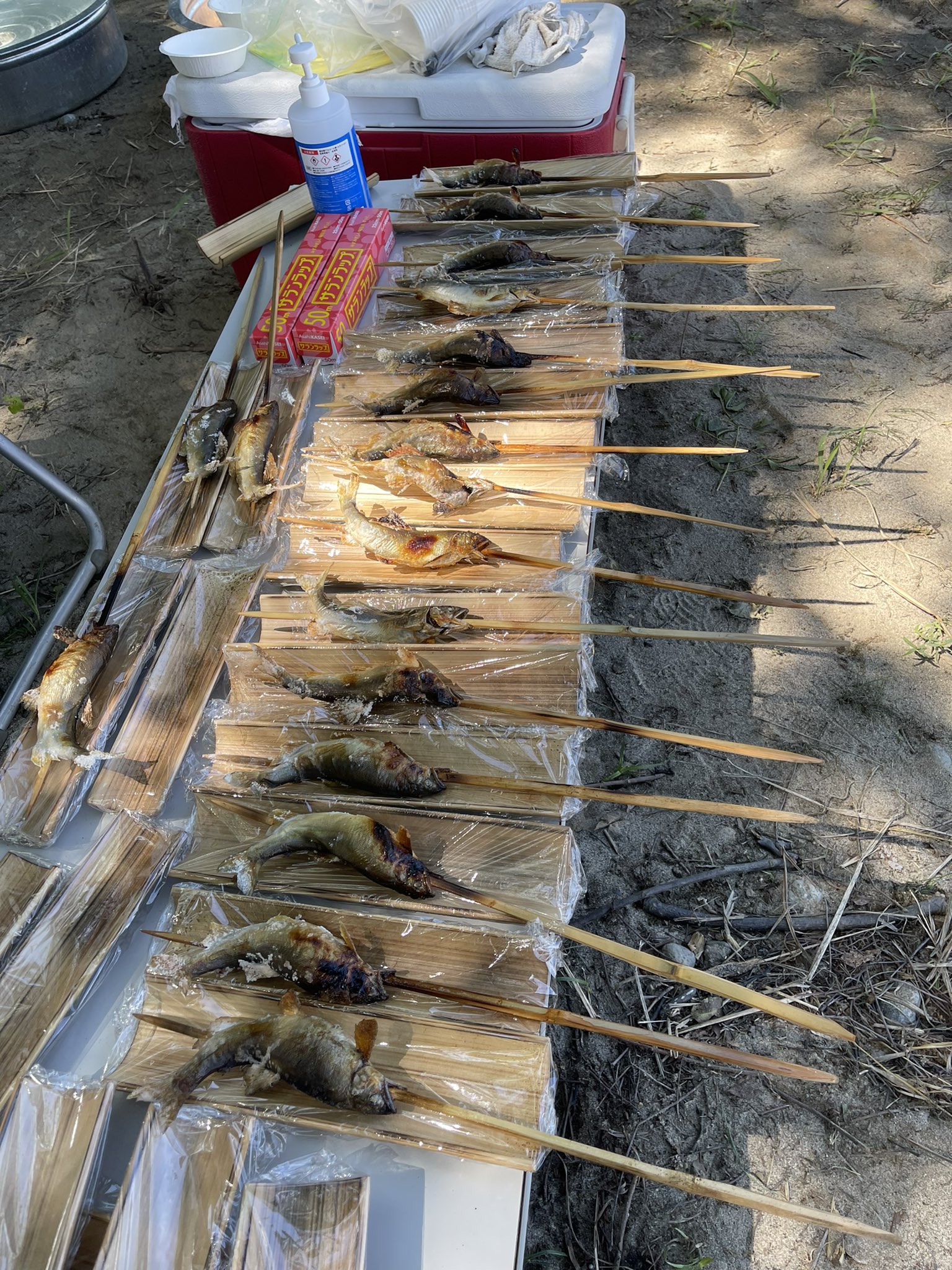 吉田 今日は 朝から国営木曽三川公園で小学生対象で鮎の掴み取り 鮎の塩焼きを振る舞ってきました 未来の鮎釣りの為に鮎の生態など 小学生に説明しました 川を汚すといけないのは何故か なども交えてお話ししてきました 国営木曽三川公園 鮎