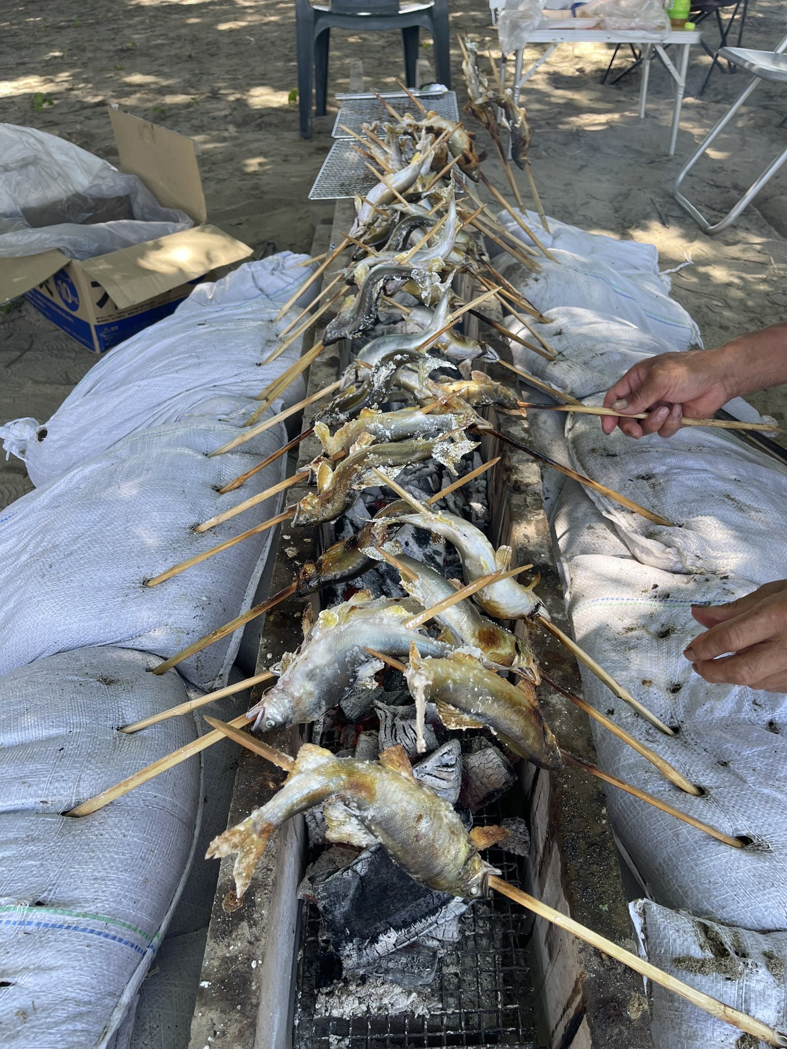 吉田 今日は 朝から国営木曽三川公園で小学生対象で鮎の掴み取り 鮎の塩焼きを振る舞ってきました 未来の鮎釣りの為に鮎の生態など 小学生に説明しました 川を汚すといけないのは何故か なども交えてお話ししてきました 国営木曽三川公園 鮎