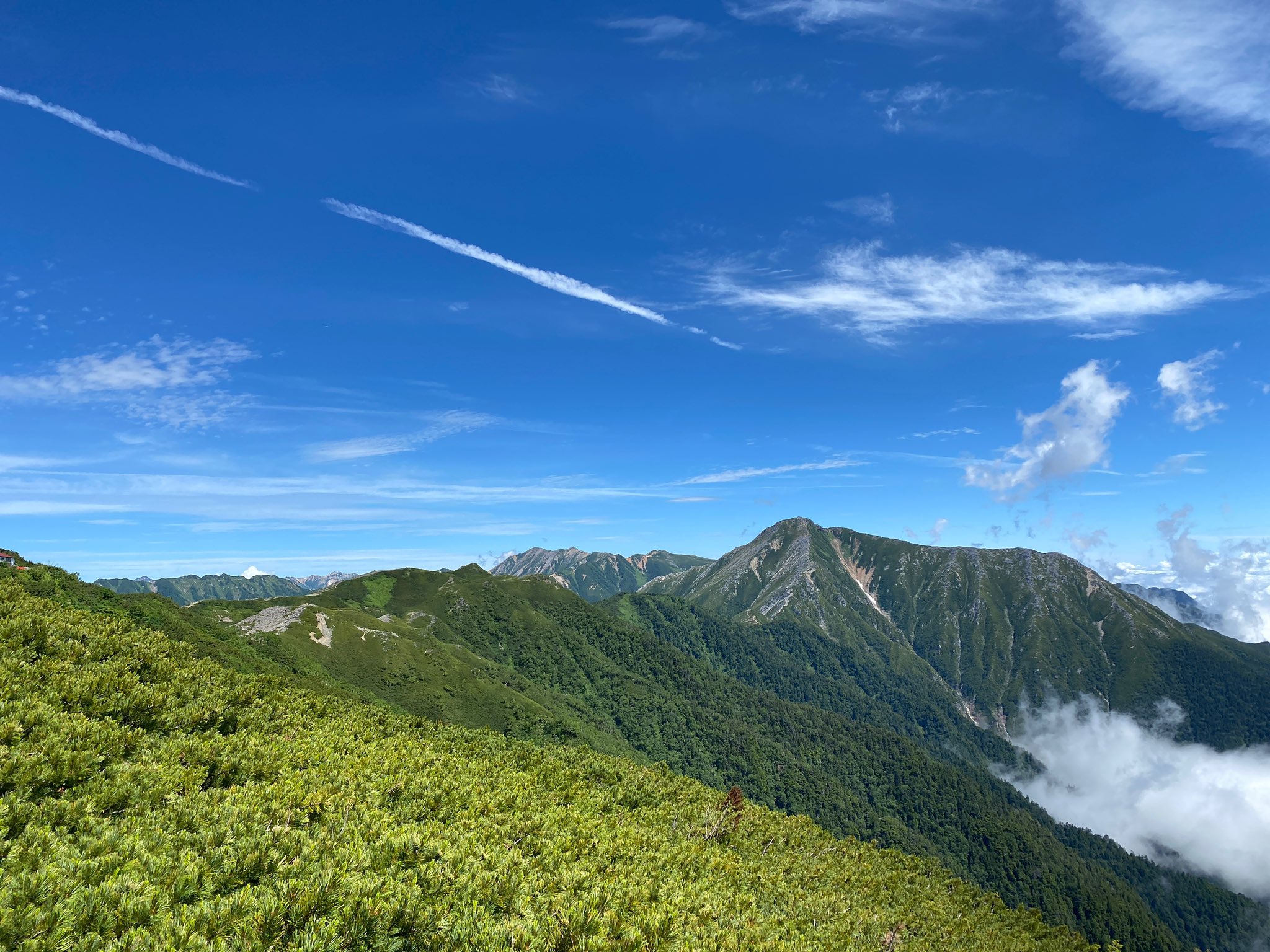 しげっぺ Alpengluhen Pokemonjp3 Twitter