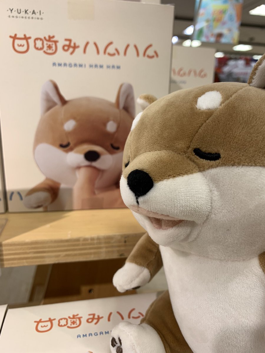 話題の 甘噛みハムハム 池袋ロフト先行発売で入荷しております ツイ担当もヒマがあったらハムハムしてます シバ犬とミケネコの２種類販売中 4 6円税込 画像はシバ犬です 甘噛みハムハム 癒し 甘噛み 柴犬 みけねこ 豊島区 豊島区民ニュース