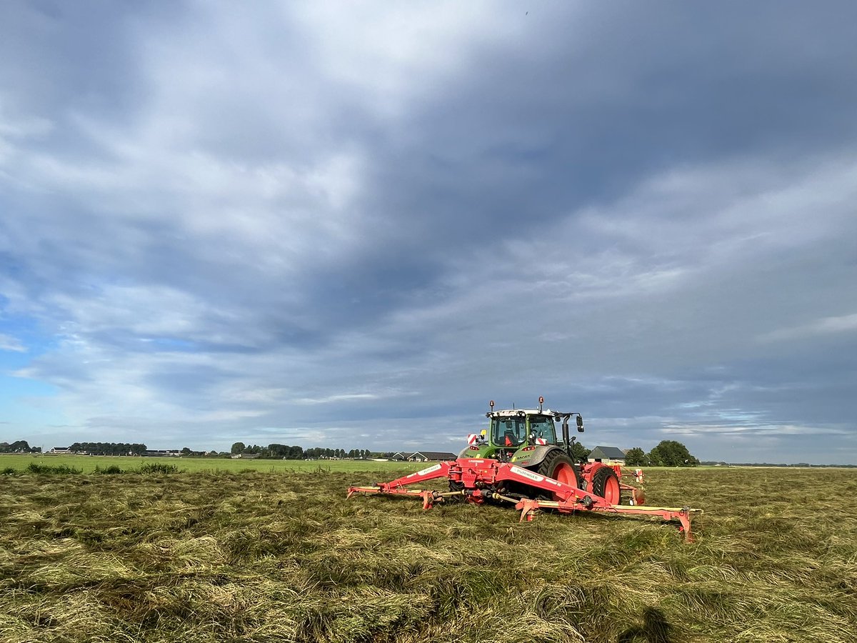 BramDieleman's tweet photo. Laatste percelen graszaad maaien komende dagen. https://t.co/WpyMOLTG3H