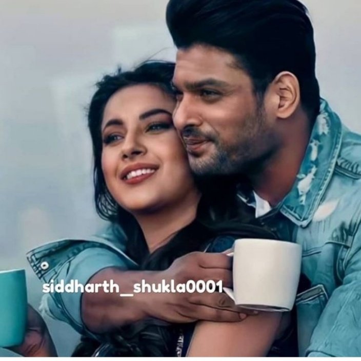 i am shenaaz gill tweet media