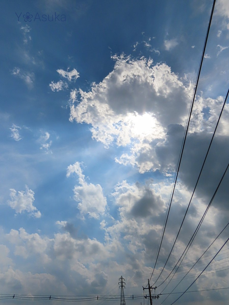 yumeasutw's tweet photo. 夏空✨🌤️✨
日差しが強い昼下がり☀️😵💦
モクモク沸き立つわた雲達が
ちぎれ雲となり広がって行きます💙
#イマソラ #いまそら
#空の名前
#雲の教室
#天気の図鑑 #雲友
#積雲 #巻雲 #層積雲
#青空 #sunshine
#鉄塔 #電線
#a2022 #a0724 #a202207 #a2022075 https://t.co/7CEZOS69zF