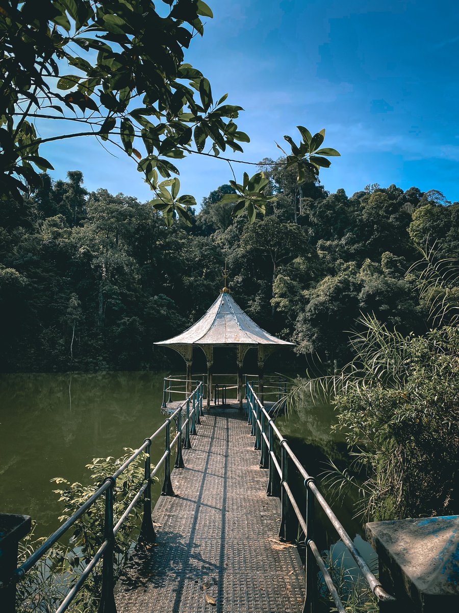 shahmoses's tweet photo. Thread: Gunung/bukit yg boleh day trip &amp; sesuai utk beginners.

Maybe ada byk post gini but I’m just sharing my experience.

1. Bukit Kembara - Ampang

Among the easiest. Waze will bring you to the starting point. Peak dia xde view but the reservoir lawa.

Difficulty : 3/10 https://t.co/fEAAylb9ix