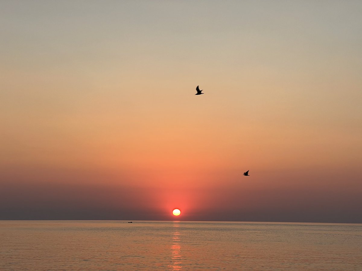 LPanio's tweet photo. #albachiara #mare #montegiordano https://t.co/yqSFPkJspN