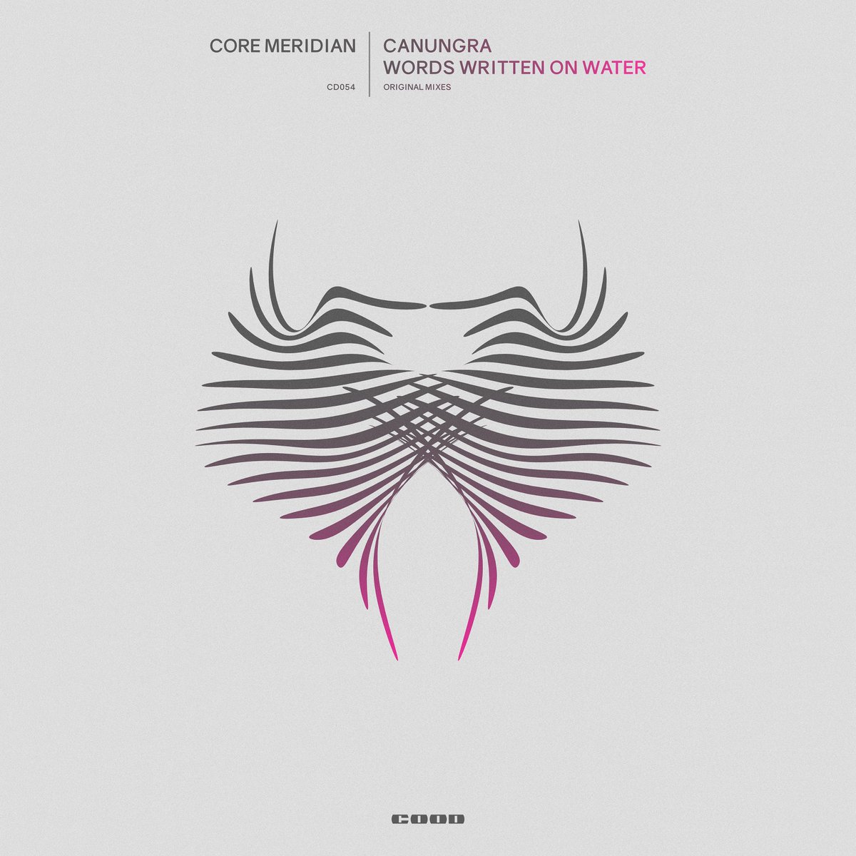 CoreMeridian's tweet image. My two tracks Canungra and Words Written on Water out now on COOD Music. What a great label, fantastic artwork and mastering, thanks for the release! beatport.com/release/canung…