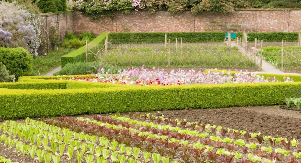 LWE_Hub's tweet photo. Have you ever wondered where your fruit comes from?

Toby Musgrave teaches you about heritage fruit and veg including the history of fruit and veg, varieties, and how to plan a kitchen garden.

🍏 https://t.co/OLrs9MCDcP

#heritagefruit #kitchengarden #fruitcourse #gardening https://t.co/9DVoCosMti