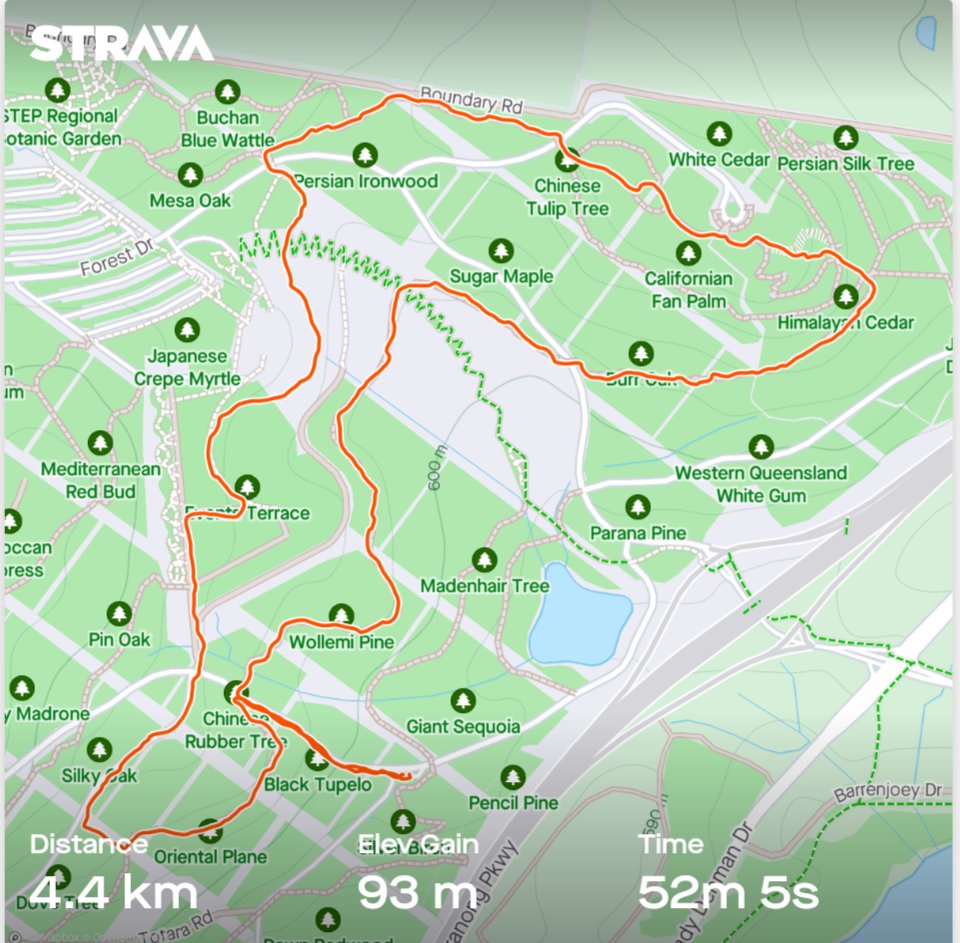 AmyODea321's tweet photo. @ProfCancerCare @Kellietoohey @Dr_Phil_K @AleshaSayner @MarkNaunton @NicoleFreene @ContPT @CaraJRoberts @ShalynRourke @shayne_chau @reza_mortazavi4 @PACES_UC Recovery walk in the sunshine today 😊☀️ https://t.co/ta9Oi3yQ7n