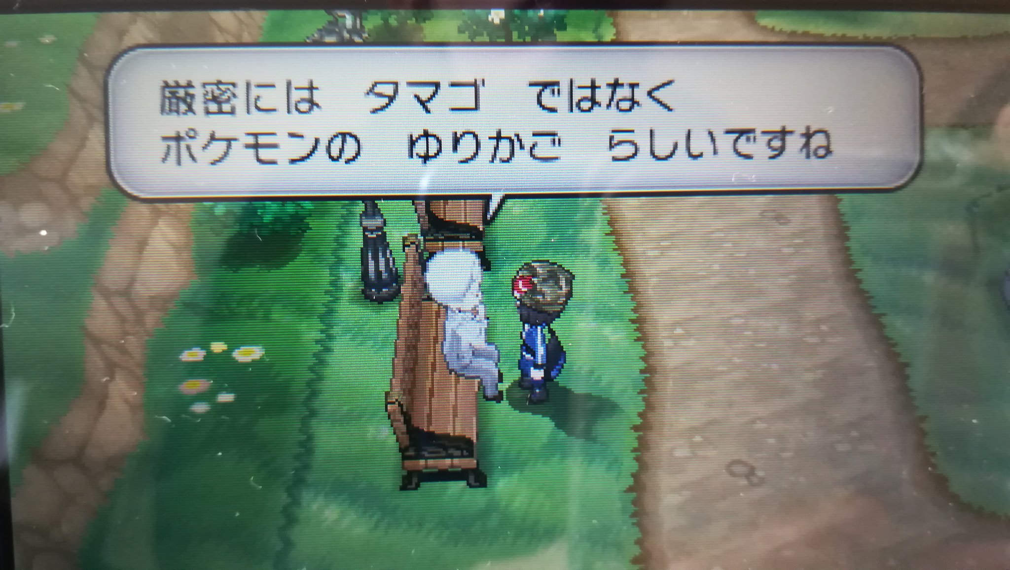 がぎえる 具甲武者 育て屋で見つかるブツは厳密にはタマゴではないので 陸上グループの多くのポケモンは本来の繁殖方法が胎生とかの可能性も全然ある T Co Hfz9ogkou1 Twitter