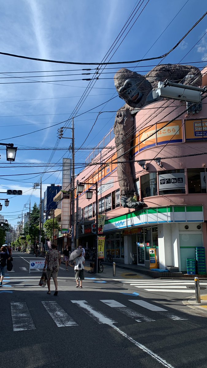 waveystore's tweet photo. 本日三軒茶屋　茶沢通りでは
13:00〜17:00まで歩行者天国実施してます！！ https://t.co/D047Q9Y7hb