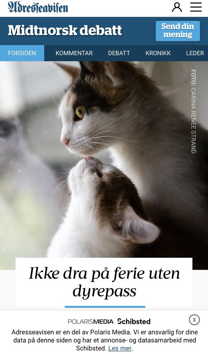 Obligatorisk ID-merking plasserer ansvaret for dyret hos eier- der det hører hjemme! Mange land i Europe har forstått dette. På tide at Norge følger etter <a href="/SandraNBorch/">.</a>  <a href="/InfoMattilsynet/">Mattilsynet</a>  <a href="/landbrukogmat/">Landbruks- og matdepartementet</a> <a href="/Senterpartiet/">Senterpartiet</a> <a href="/Arbeiderpartiet/">Arbeiderpartiet</a>