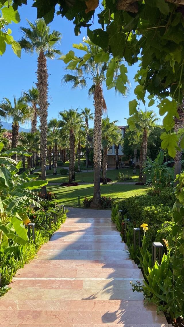 #günaydın ☀️🥳