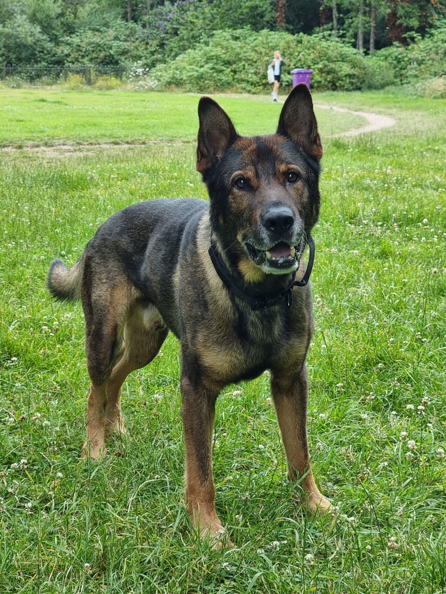 Bob08538271's tweet photo. @Andrew__Albert RPD Gunny https://t.co/2GQ58G1UgQ