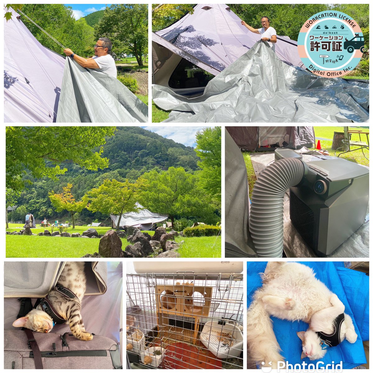 yaei_ceo's tweet photo. ECO FLOWの新製品クーラー導入‼️
①ヤドカリテントの先端に輪を付けておき、シルバーシートを吊上
②クーラーの吹出口を突っ込む　
③可愛い寝顔を見る👍

#テレワーク #dobook #野営オフィス #キャンプ　#テレワークアイテム　#工夫して楽しむ　#ecoflowwave #ポータブルクーラー #ecoflow https://t.co/Ktegkz0wHy
