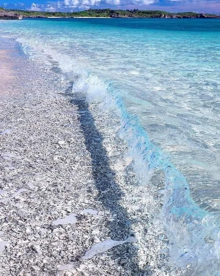 GPolyzoidis's tweet photo. #Greece 🇬🇷 #vacation 🌊⛵#travelphotography #crystal_clear https://t.co/aS8ejKkEUq