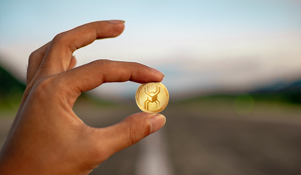 SpiderByte tweet media