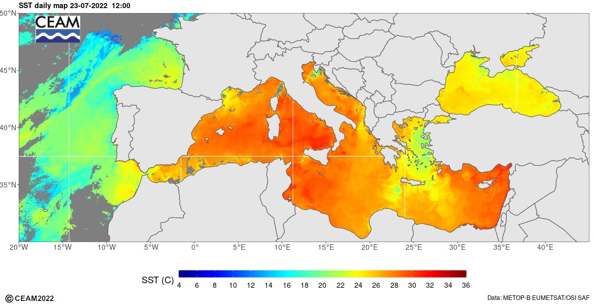 Mediterráneo a 30 C = fabrica de vapor de agua = calor y bochorno extremo este verano = lluvias torrenciales recta final del verano e inicio del otoño = inundaciones e impacto en especies marinas #temperaturas #Mediterraneo #OlaDeCalor