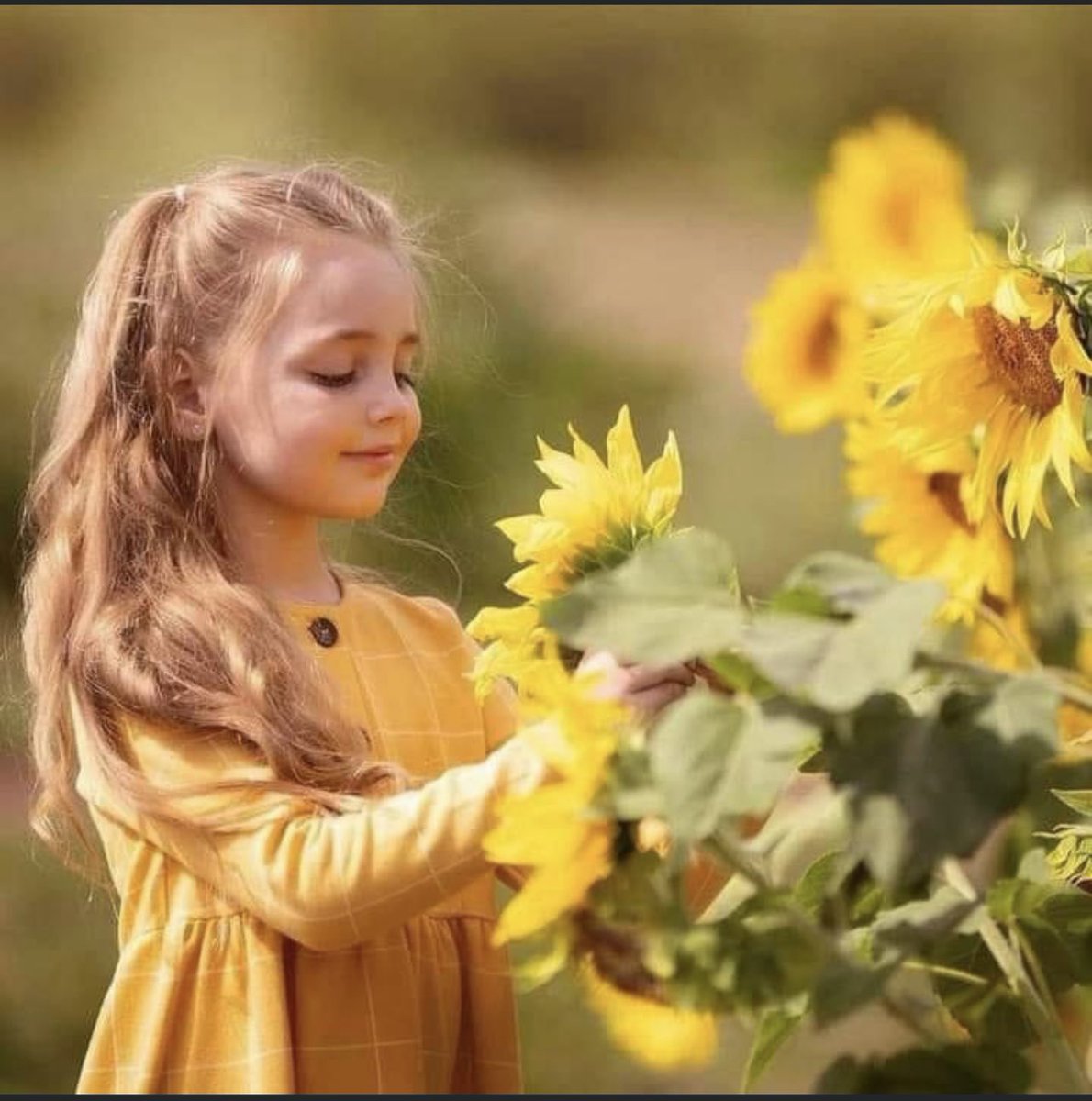 *حين يعتاد القلب على نثر بذور الحب لمن حوله، سيظل نابعاً بالخير دوماً •• فكثير من الناس وجودهم حولنا كالندى فوق أوراق الشجر*💎
#صباح_الياسمين 
#صباح_الخير