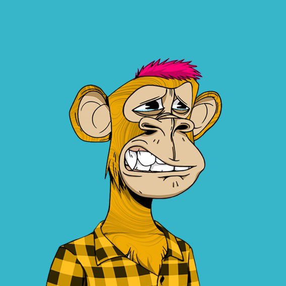 Zarko on sol tweet media