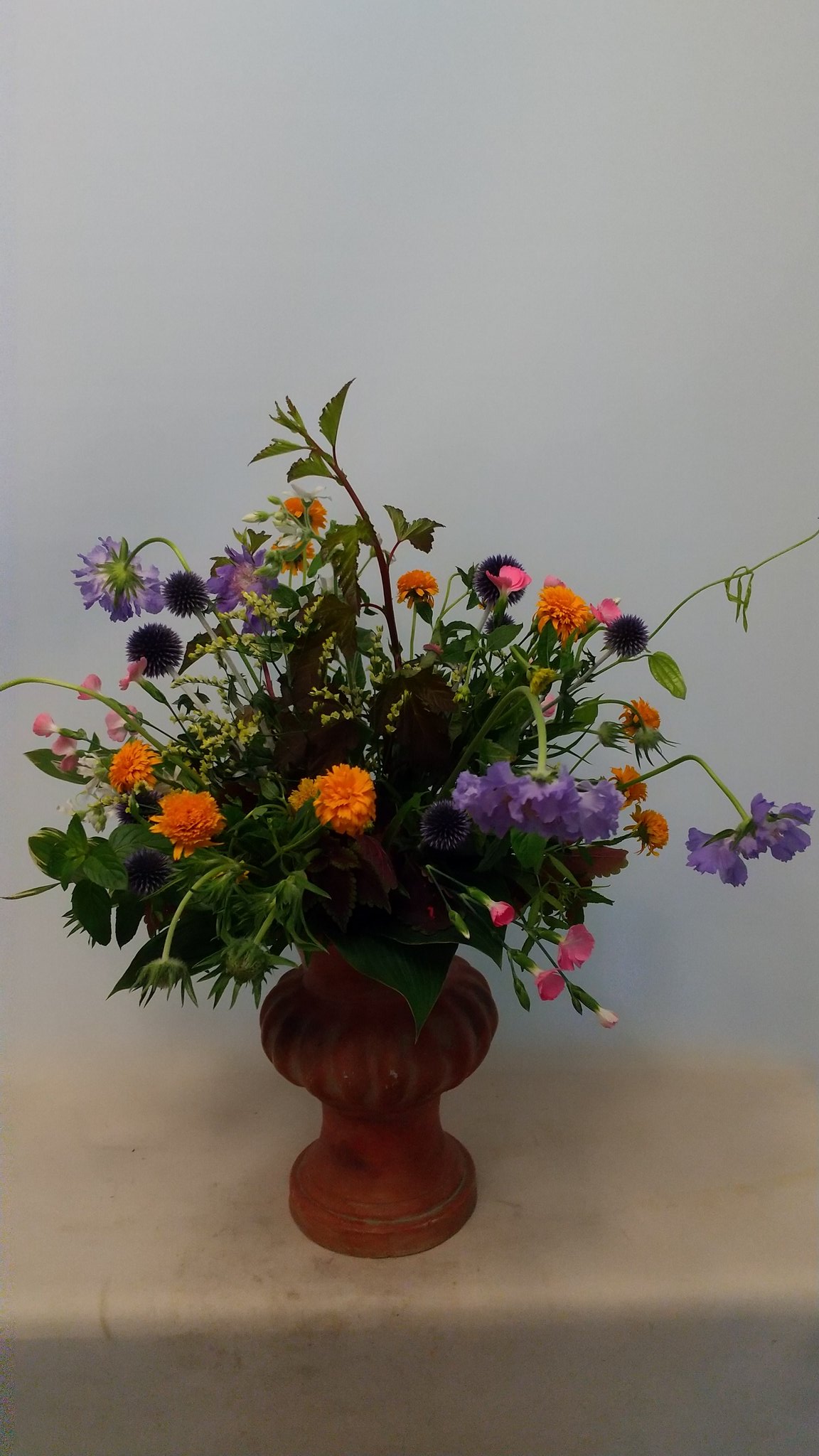 Uzivatel さつき 花のアトリエ Na Twitteru 毎朝 朝顔が綺麗に咲いています 夏ですねぇー でも暑い Altertum アンティーク 夏の庭の花束 研究生oさんの作品 植物の動き 色 植生を生かした花束に出来上がりました スカビオサ ルリタマアザミ 姫