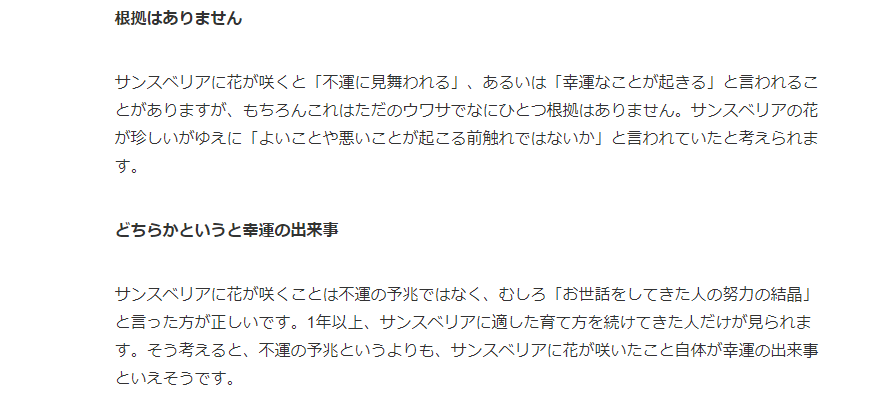とらネコかけふ 我が家の サンスベリア に花が咲いた ウルトラq 虹の卵 パゴス が出てきた回 竹の花が咲くと良くないことが起こる を何故か思い出した ﾟdﾟ T Co 9c9zcqkoa7 Twitter