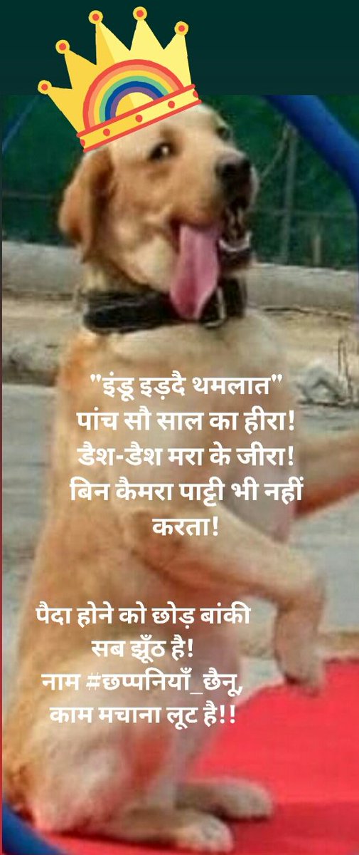 Gussail_Pandit's tweet photo. @DrGulshn मने नारंगी छाप छच्चे झंडू होना जुरूरी हैगा मितरोंऊंऊंऊं!
जो नाहीं होवैगा ऊ ससुरा "फाकिस्थान" चला जावै!
#छप्पनियाँ_छैनू https://t.co/GPb4Vz3Wsm