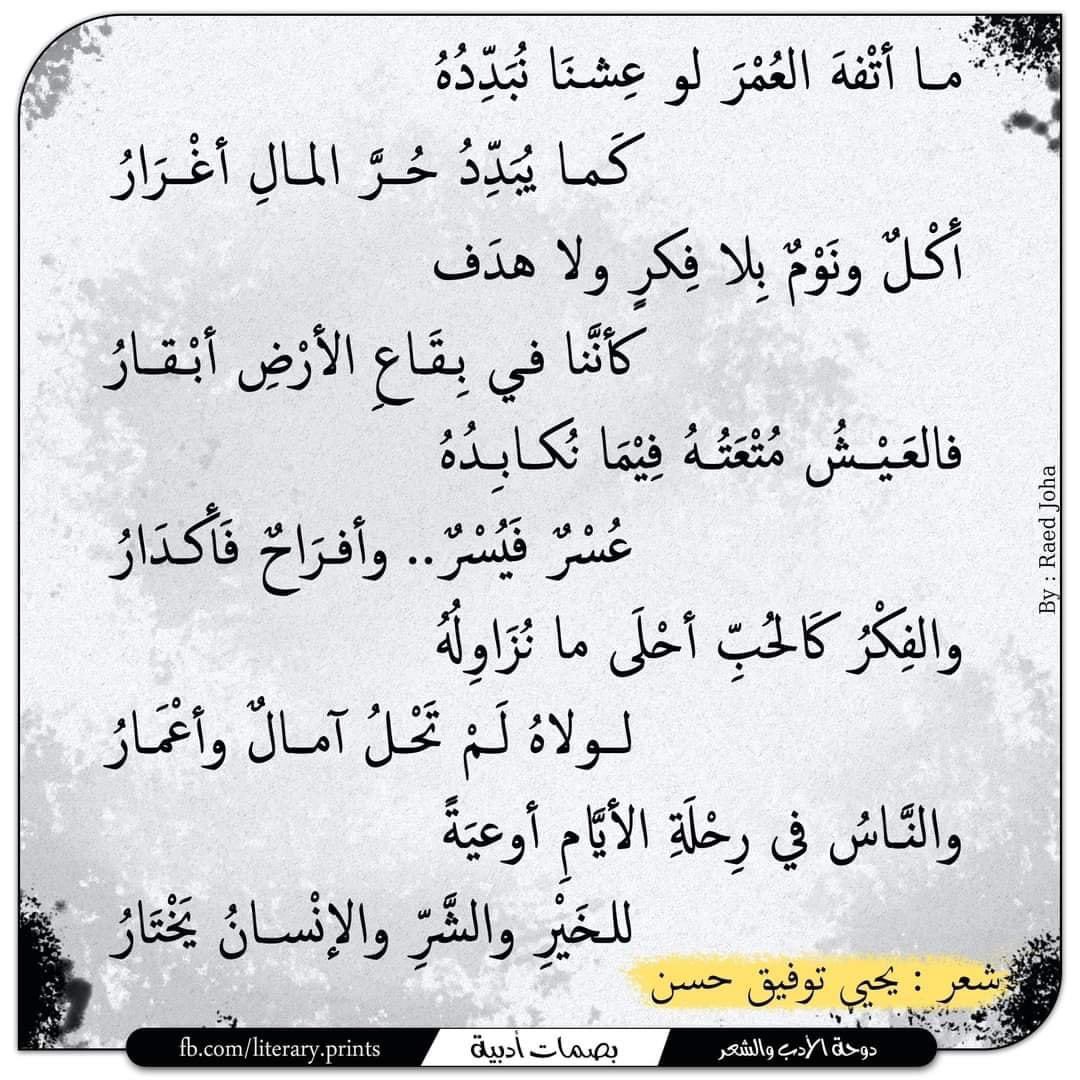 Akram Mohamed Samy (@tomakkah) on Twitter photo 