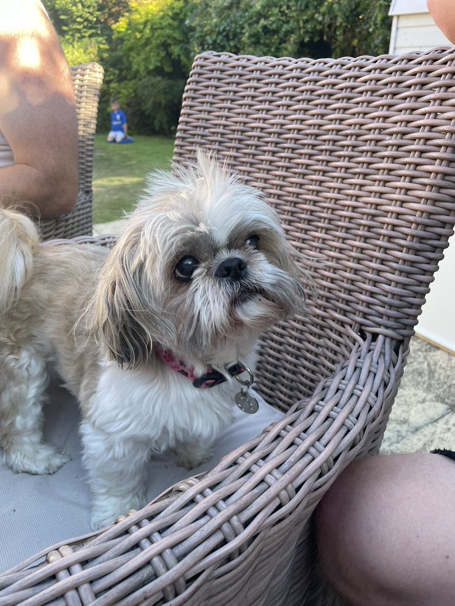 Alison Harbon tweet media