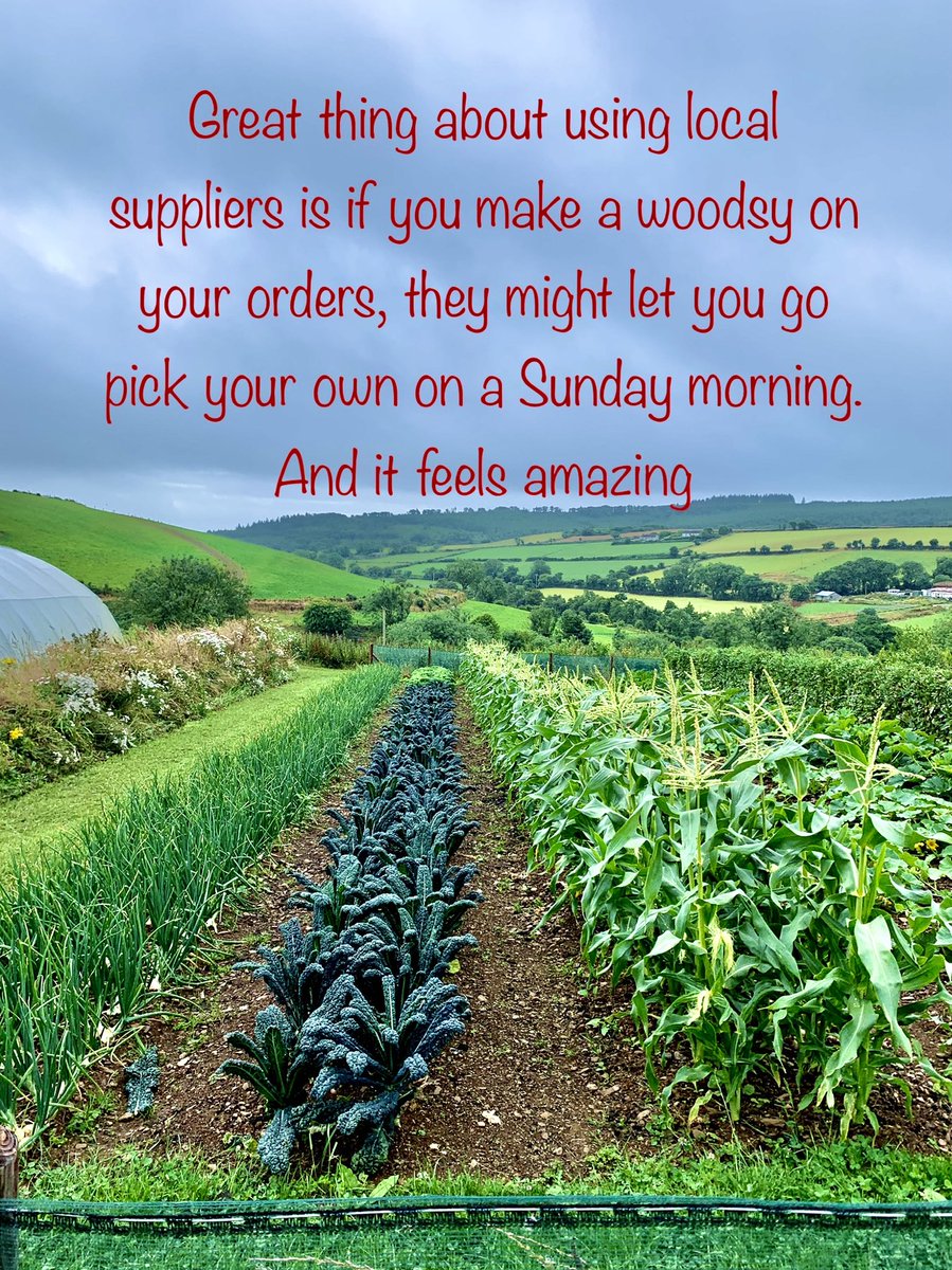 ⁦<a href="/KinsaleOnline/">Kinsale Online</a>⁩ ⁦<a href="/CorkBilly/">Billy Lyons</a>⁩ ⁦<a href="/TridentHotel/">Trident Hotel Kinsale</a>⁩ ⁦<a href="/PerryvilleHouse/">Perryville House</a>⁩ ⁦<a href="/ThisisIrishfood/">This is Irish Food</a>⁩ ⁦<a href="/IrishWeather/">Irish Weather</a>⁩ ⁦<a href="/MichelinGuideUK/">The MICHELIN Guide</a>⁩