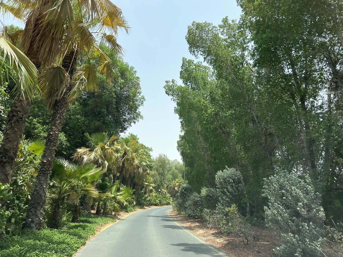 Have a beautiful weakened #NFTCommunity