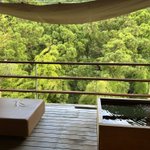 あきのツイート画像