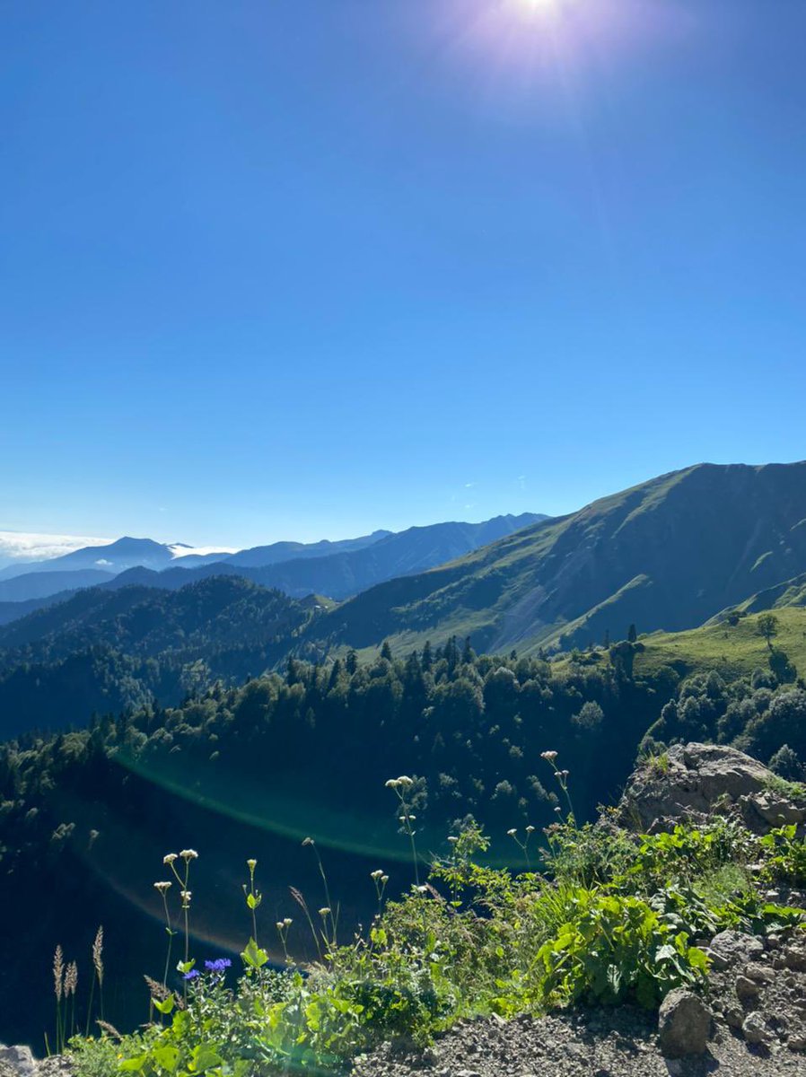zuka_lejava's tweet photo. it was amazing day 🤩 hiked with my cathletes #PathDAOWalkenChallenge @walken_io @PathDAO https://t.co/xYn89AW1m3