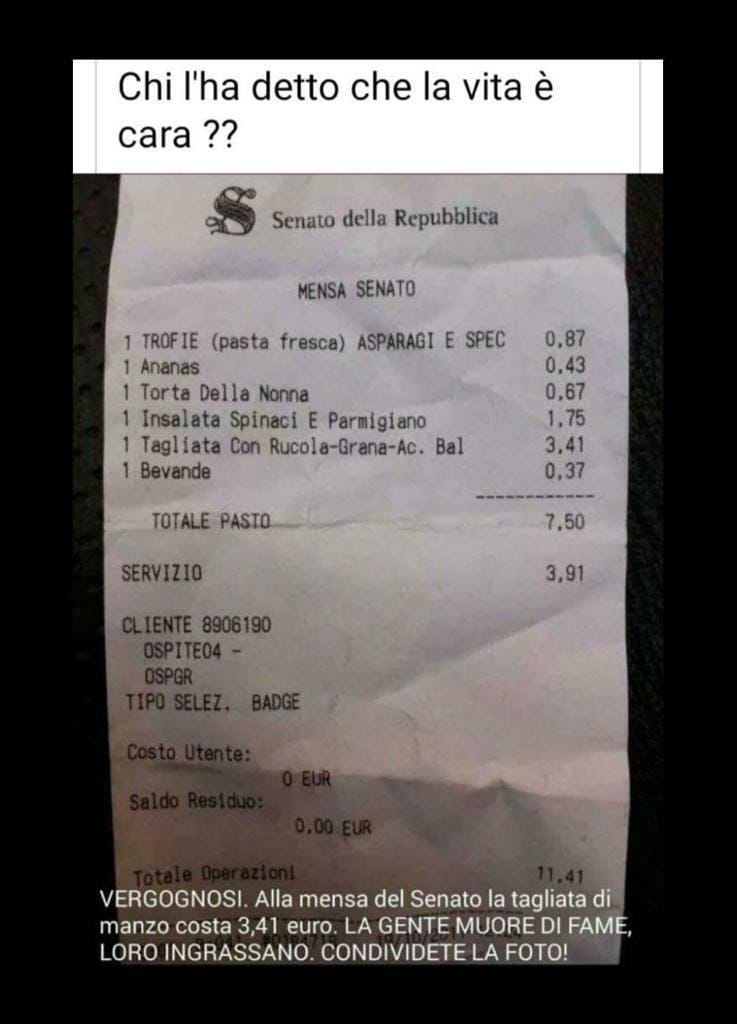 Fedora Quattrocchi (@fedoraquattroc2) on Twitter photo 