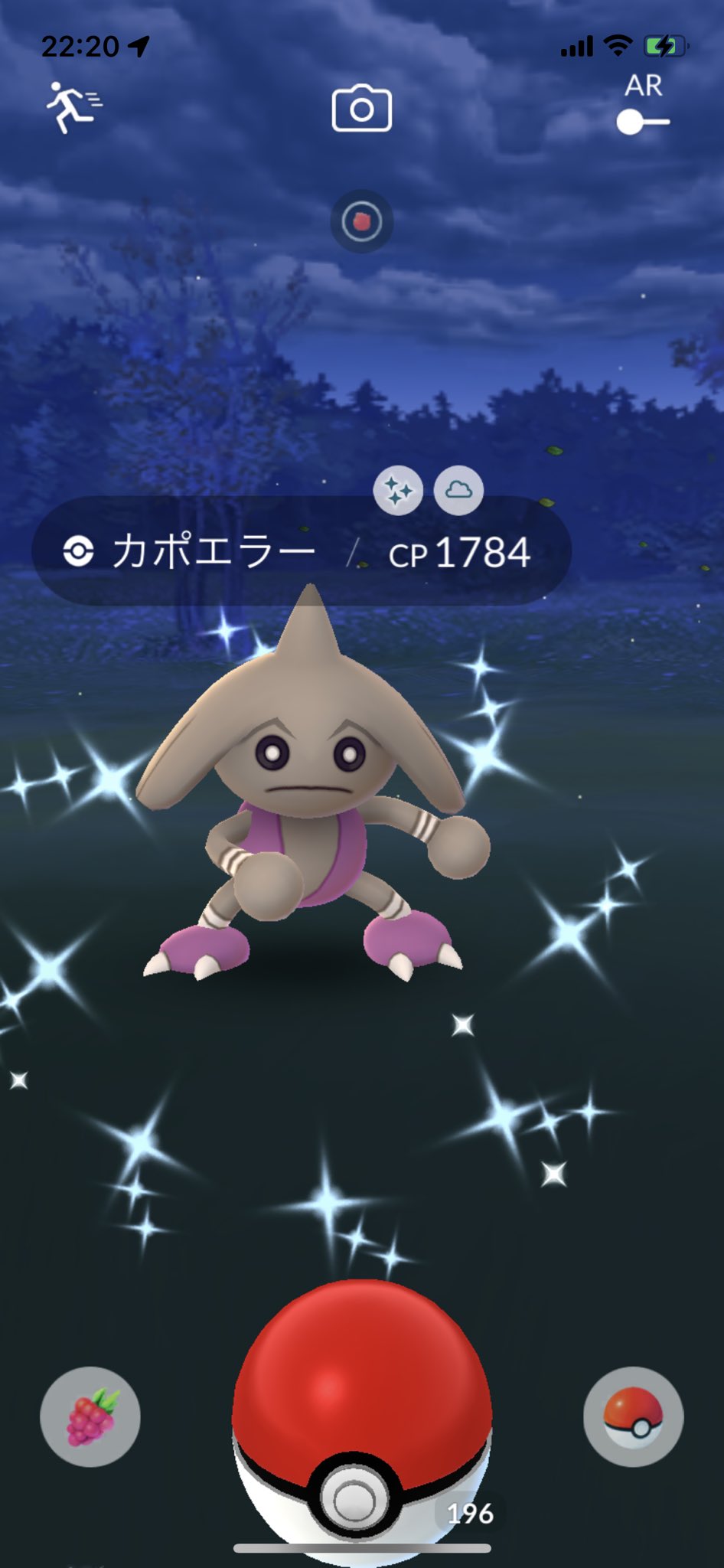 カポエラー色違い Twitter Search Twitter