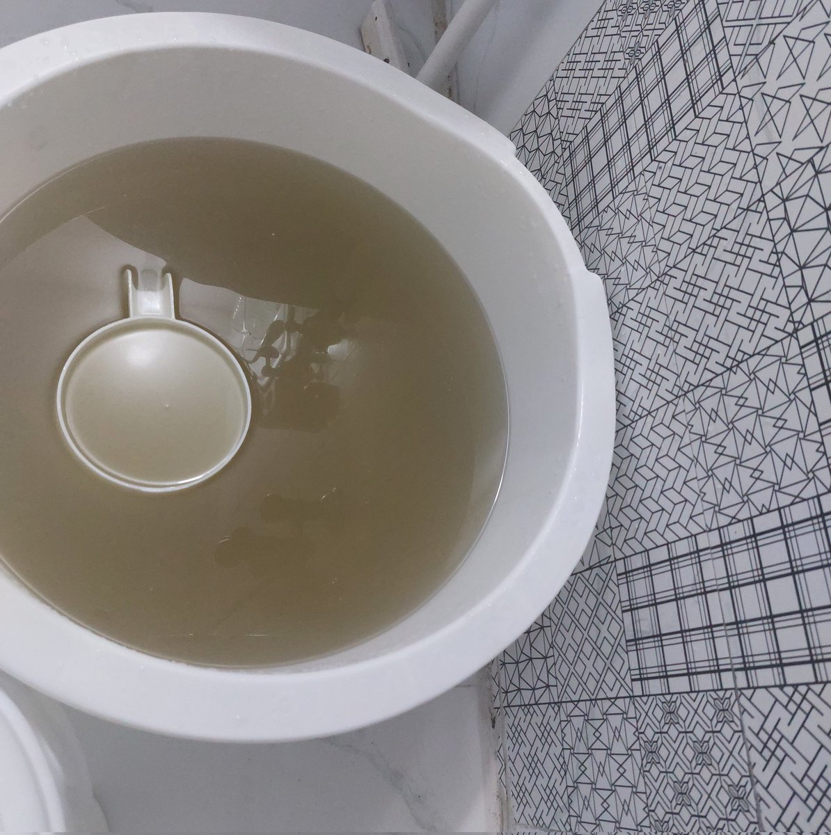 KhuramMughalPTI's tweet photo. This is the water which we are getting in our home from @WASA_Official for months, complained many times to WASA staff but no body is taking it serious.

We are forced to use this water for our daily routine work.
@DCLahore @SheikhImtiazPK https://t.co/TPKim28sBl