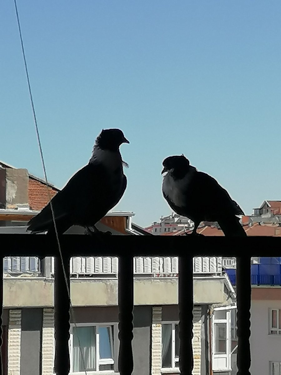 Eş olmak...
Yanından bir an olsun ayrılmamak..
Her mesafeye beraber kanat çırpmak...