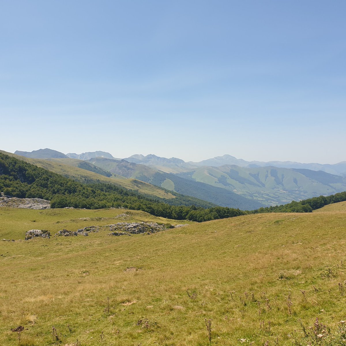 reverberg's tweet photo. I'm Queen of the Mountains today @BCTGB https://t.co/YjpAxXf45X