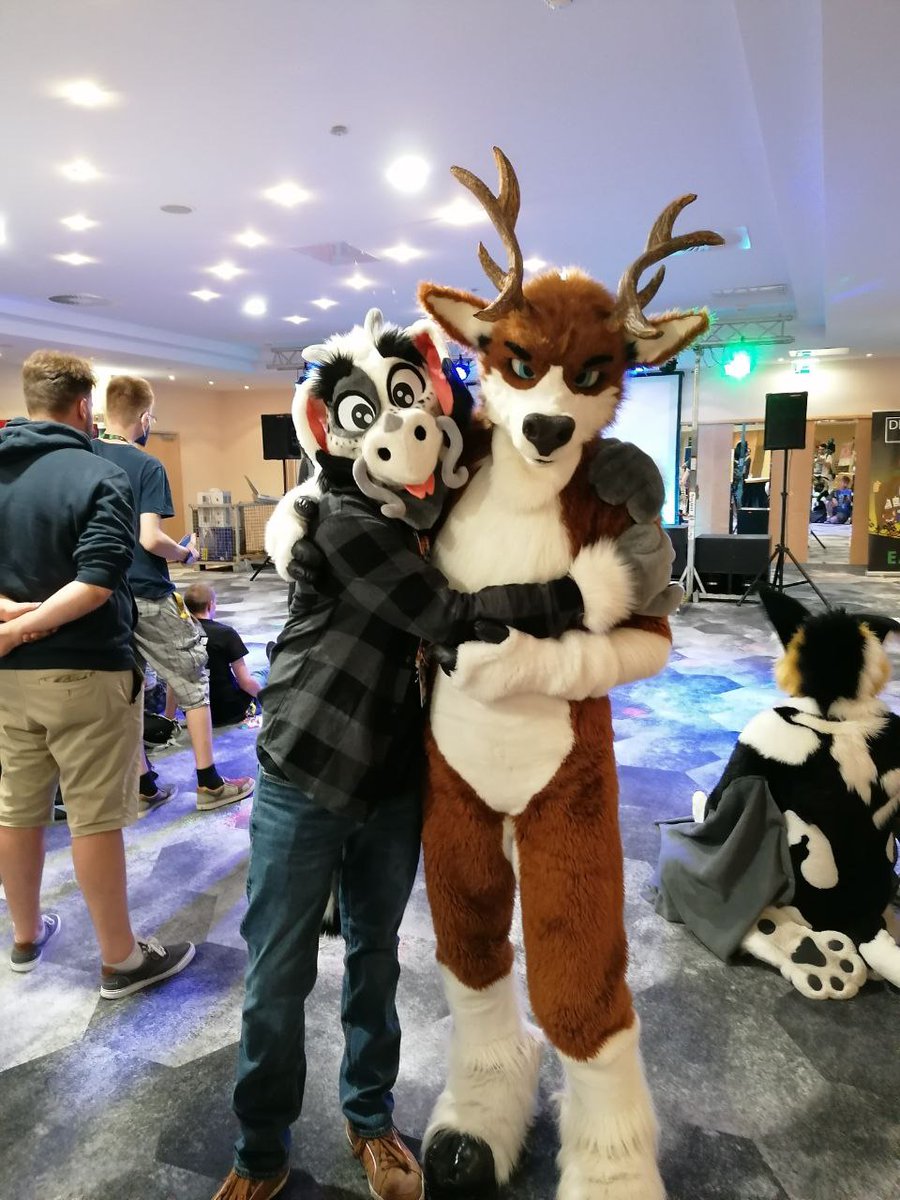 Dominoderg tweet media