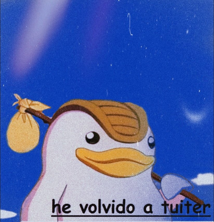 después de un año hemos volvido a tuiter