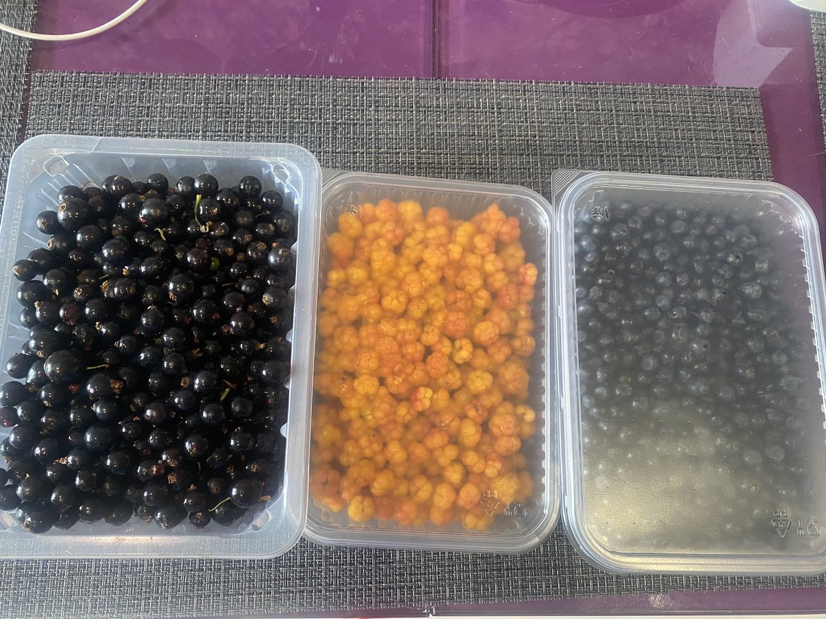 То чувство когда проводишь сезон в лесу, а за ягодой идёшь на рынок 🙈