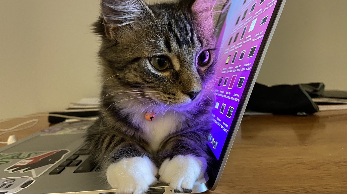 ReiLyfe's tweet photo. No TY @Jagex @OldSchoolRS I don’t feel like gaining defense levels atm and ruining my account, but add a “Y”please, I only haz eyes for Pet Rocky. >\\\<
P.S. Here’s a picture of Alice and Mira my two 5mo old daughters for the algorithm that I suck at! =^.^= https://t.co/Oseu5ki0H8