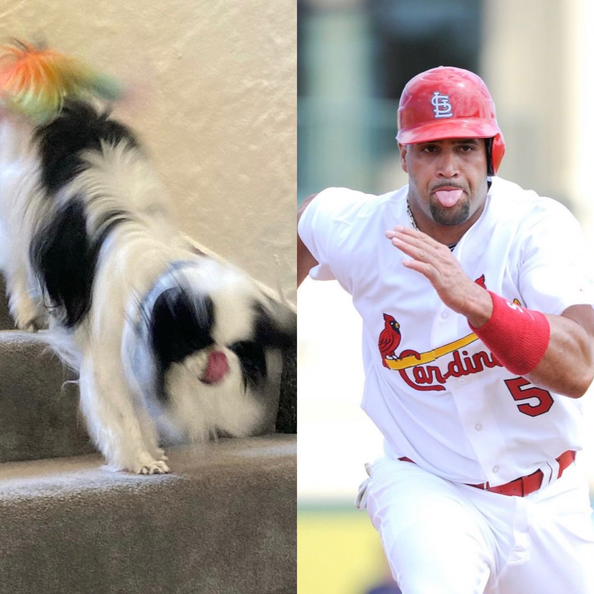 anna gonzalez tweet media