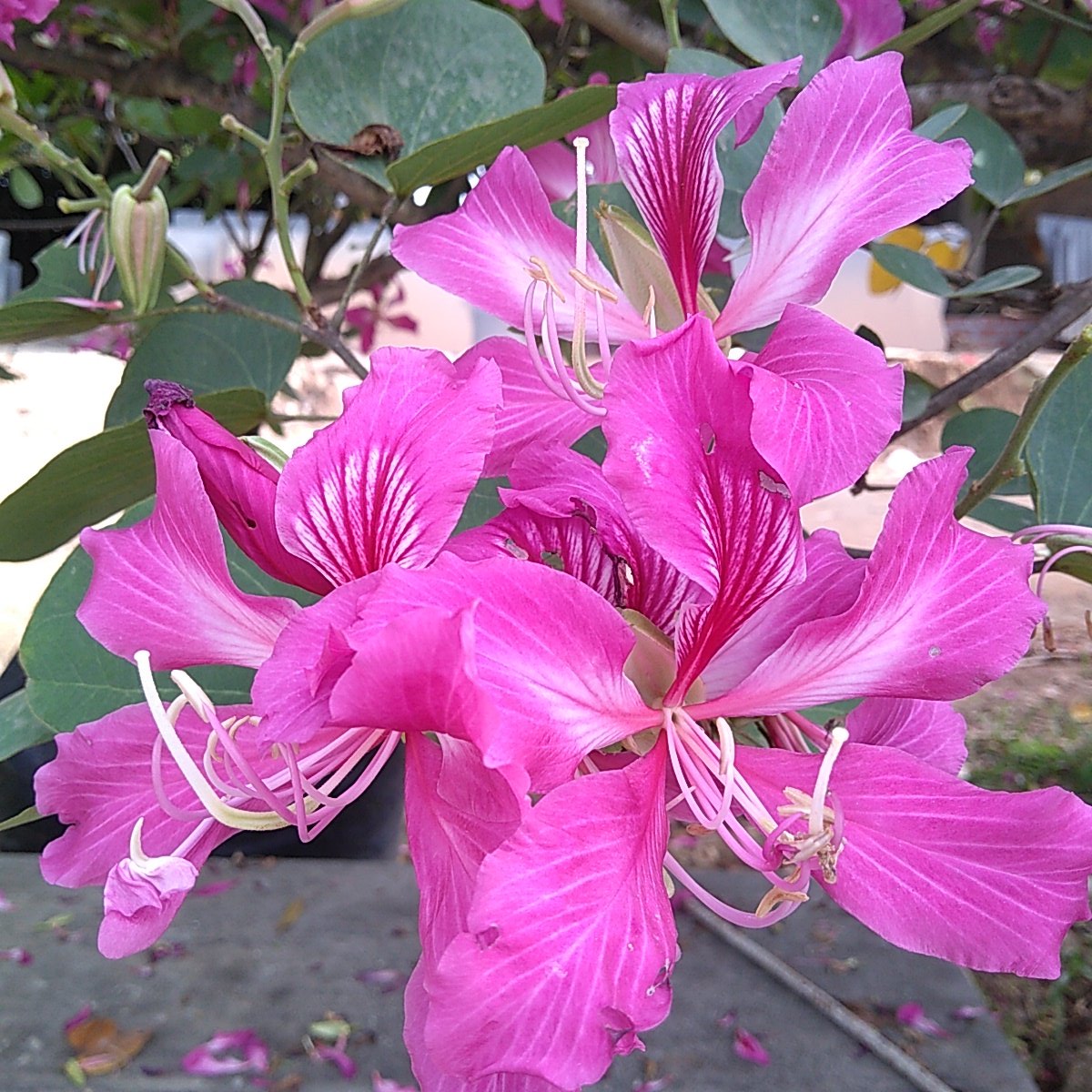 Quiz Point tweet media