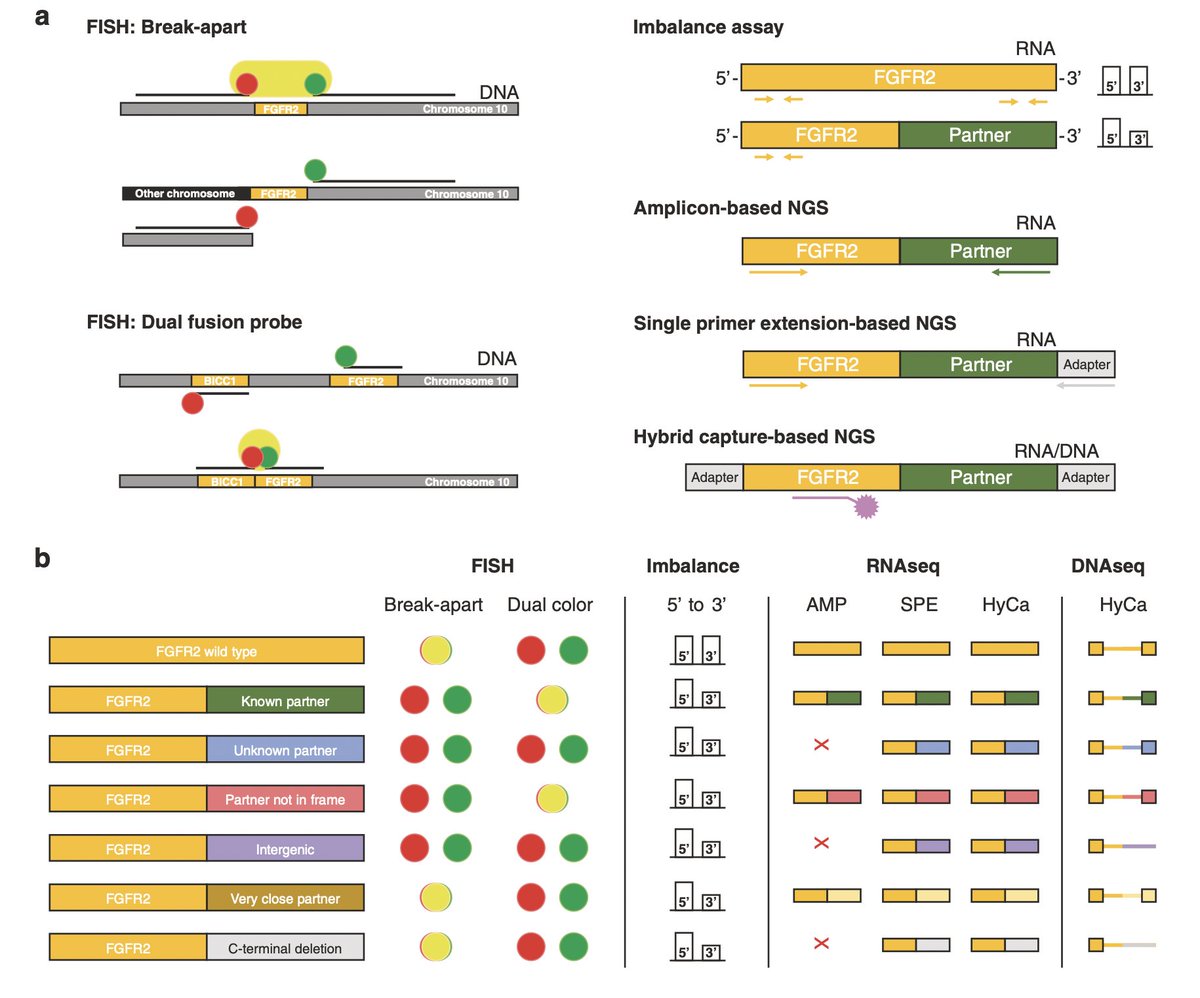 Arndt Vogel tweet media