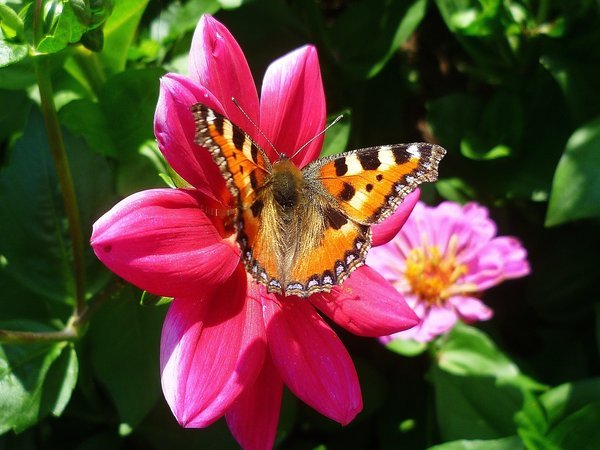 Ich wünsche euch einen wunderschönen Sonntag 🌹

Gebete sind ein erstaunlicher Austausch, wir übergeben unsere Sorgen an Gott und er übergibt uns den Frieden.

Niemand kann jeden Tag perfekt sein, aber glaube immer an deine eigene Stärke und lerne.