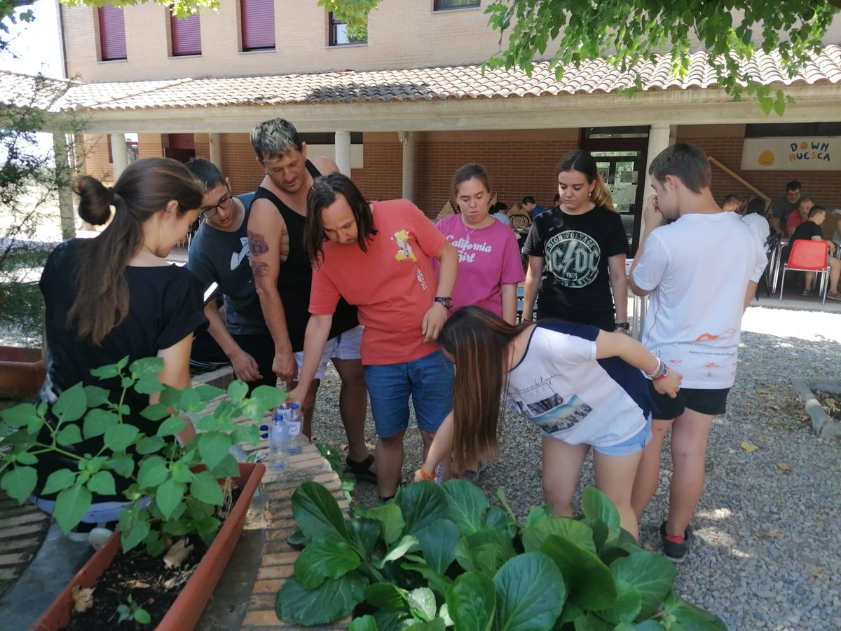 Down Huesca tweet media