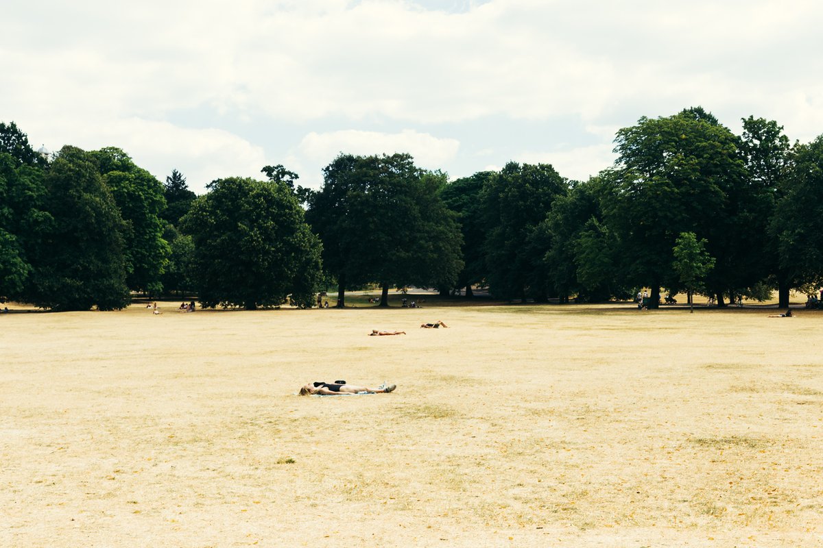 Grantham Institute Imperial (@grantham_ic) on Twitter photo #SundayRead: A bumper edition of our weekly update of #climate news at <a href="/imperialcollege/">Imperial College London</a>
🌡️ extensive #heatwave coverage
⚠️<a href="/alexkoberle/">Alex Koberle</a> on agribusiness & climate shocks
📢A new decarbonisation research centre
🛠️<a href="/AlyssaRGilbert/">Alyssa Gilbert</a> on #GreenSkills
& more...
👉ow.ly/RuXk50JZ05F #SundayRead: A bumper edition of our weekly update of #climate news at <a href="/imperialcollege/">Imperial College London</a>
🌡️ extensive #heatwave coverage
⚠️<a href="/alexkoberle/">Alex Koberle</a> on agribusiness & climate shocks
📢A new decarbonisation research centre
🛠️<a href="/AlyssaRGilbert/">Alyssa Gilbert</a> on #GreenSkills
& more...
👉ow.ly/RuXk50JZ05F