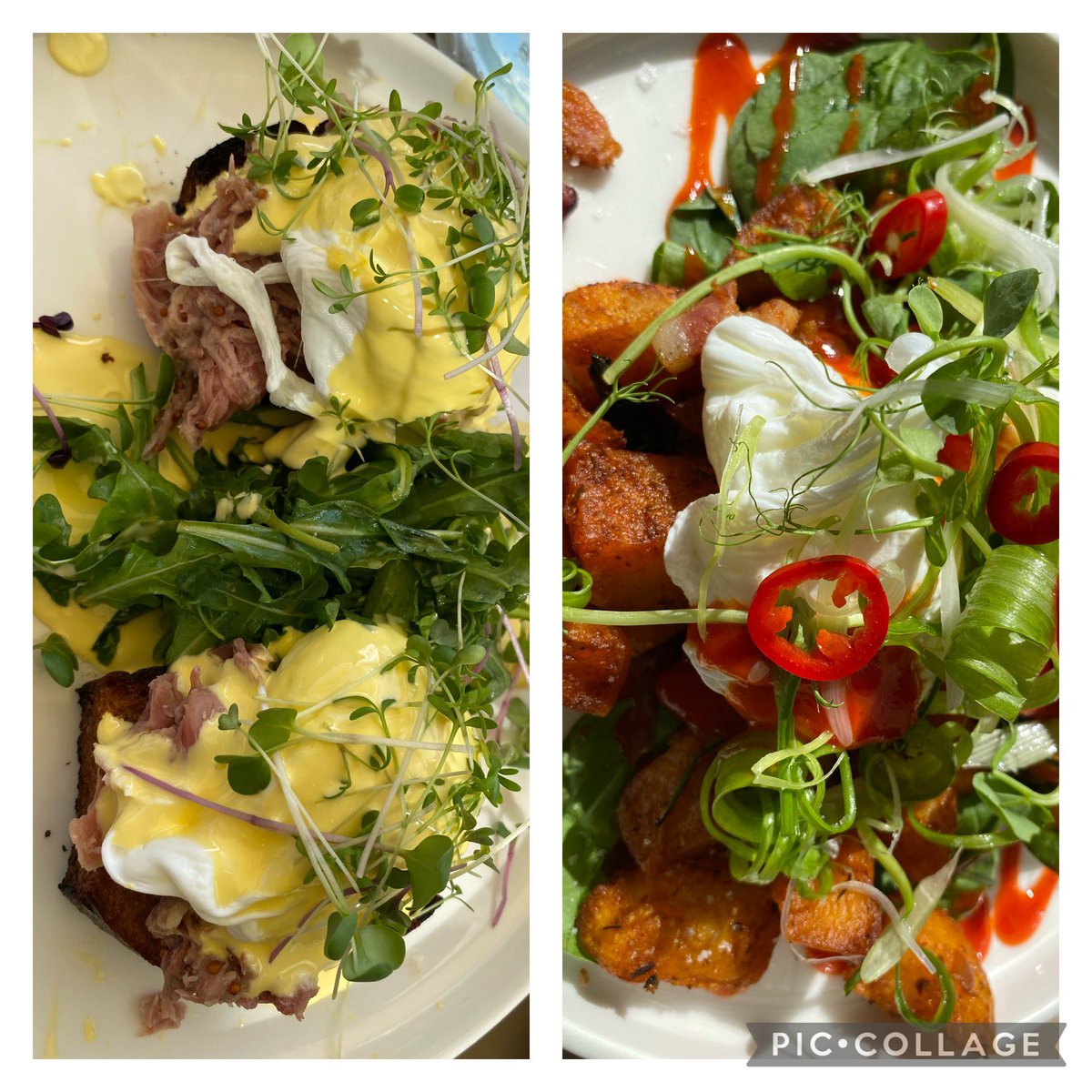 Rosie Cassidy (@rosaleencassidy) on Twitter photo Sunday brunch at Ebb & Flow Camden St. “Ebb” Benedict (honey mustard ham hock underneath perfectly poached eggs and hollandaise)
Spiced potato and bacon hash & poached eggs Best brunch since we left NYC 🇺🇸
<a href="/NickMunier/">Nick Munier</a> <a href="/philipnolan1/">Philip Nolan</a> <a href="/MichaelsCoDub/">Gaz</a> <a href="/LucindasIreland/">LUCINDA O’SULLIVAN</a> <a href="/tomdoorley/">Tom Doorley</a> Sunday brunch at Ebb & Flow Camden St. “Ebb” Benedict (honey mustard ham hock underneath perfectly poached eggs and hollandaise)
Spiced potato and bacon hash & poached eggs Best brunch since we left NYC 🇺🇸
<a href="/NickMunier/">Nick Munier</a> <a href="/philipnolan1/">Philip Nolan</a> <a href="/MichaelsCoDub/">Gaz</a> <a href="/LucindasIreland/">LUCINDA O’SULLIVAN</a> <a href="/tomdoorley/">Tom Doorley</a>